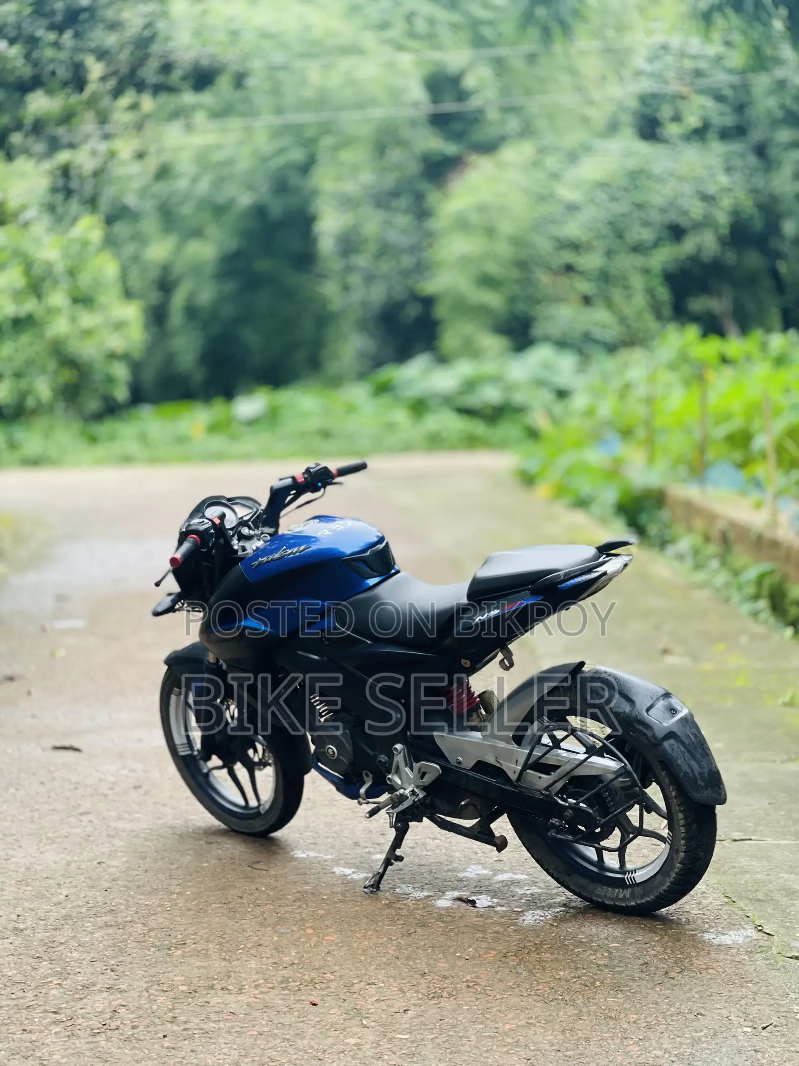 Bajaj Pulsar NS 160 2019 Blue