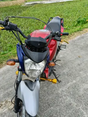 Yamaha FZ 2010 Silver