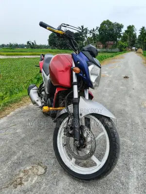 Yamaha FZ 2010 Silver
