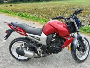 Yamaha FZ 2010 Silver