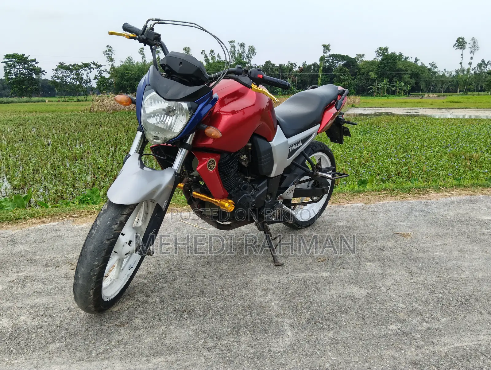 Yamaha FZ 2010 Silver
