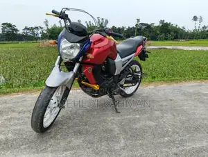 Yamaha FZ 2010 Silver
