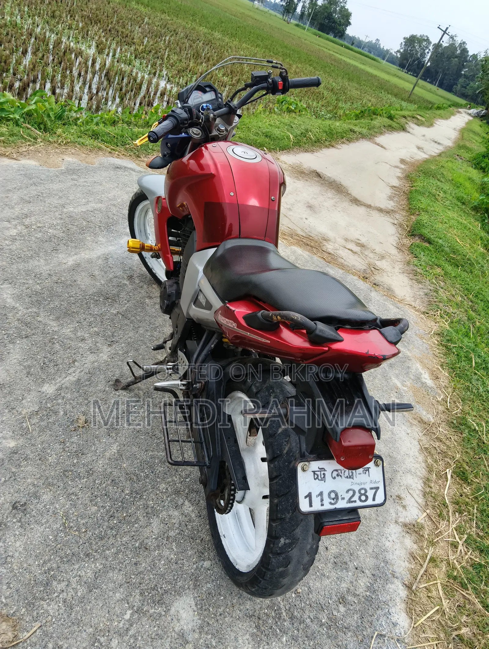 Yamaha FZ 2010 Silver