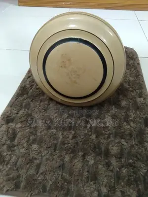 Ceiling Fan