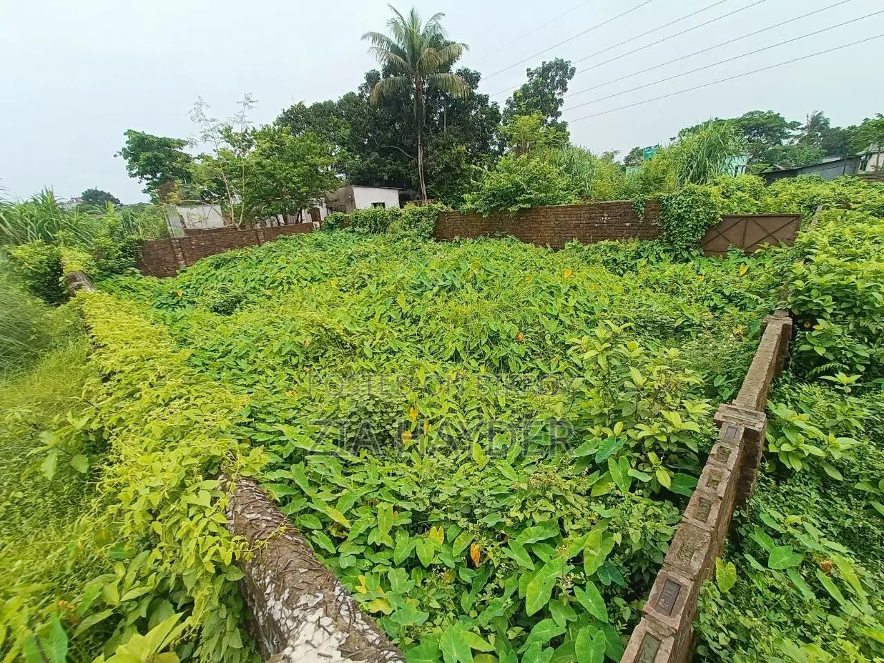আবাসিক প্লট বিক্রয় আকুয়া বাইপাস সংলগ্ন | ৫শতাংশ
