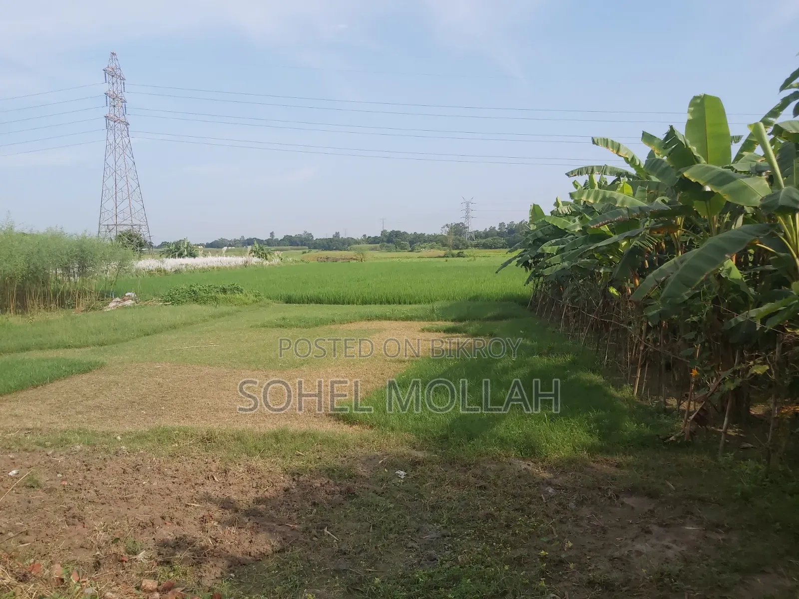 North Kaundia Land for Sale