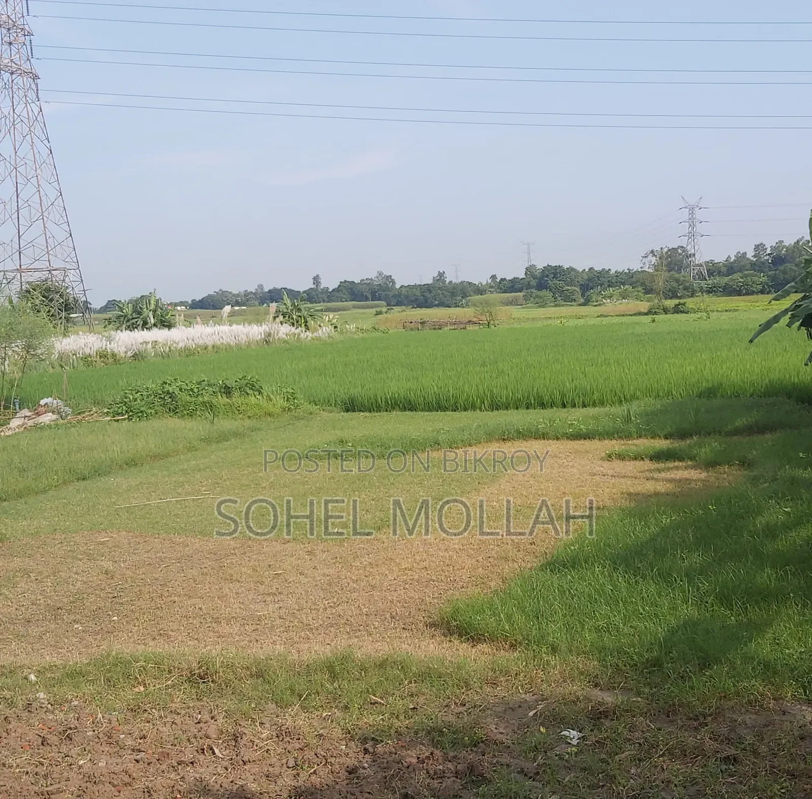 North Kaundia Land for Sale