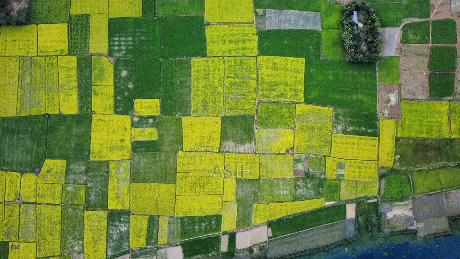 Land for Sale 13.5 Decimals