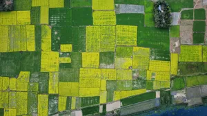 Land for Sale 13.5 Decimals