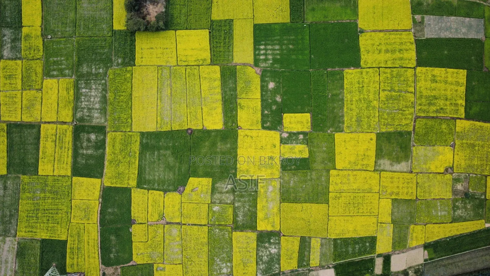 Land for Sale 13.5 Decimals