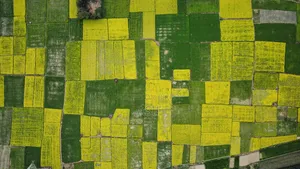 Land for Sale 13.5 Decimals