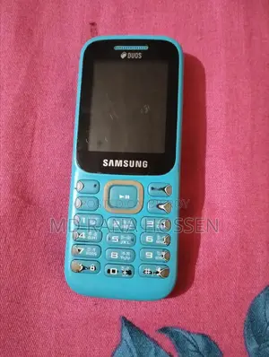 স্যামসাং গুরু মিউজিক ২ নীল