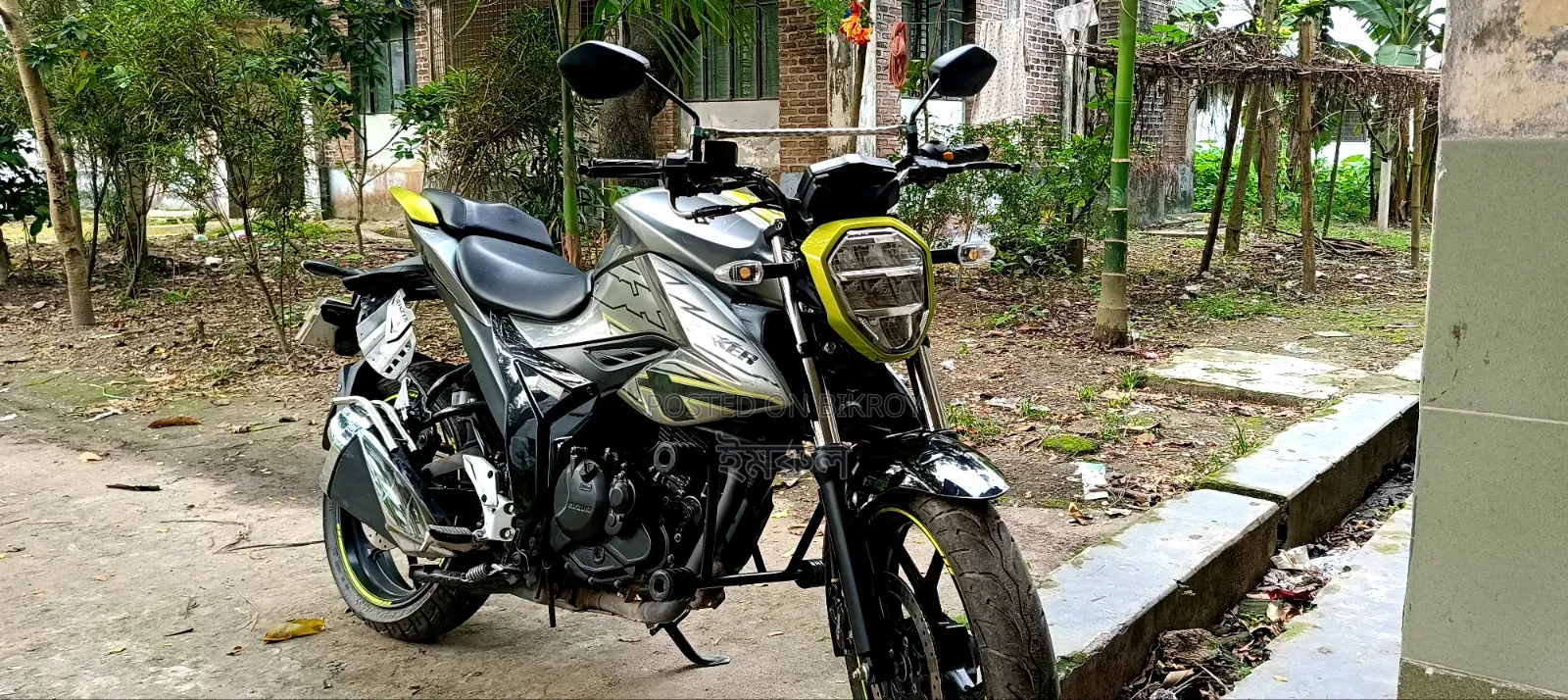 Suzuki 2025 Green