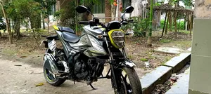 Suzuki 2025 Green