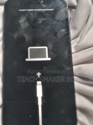 অ্যাপল আইফোন ১২ ১২৮ জিবি নীল