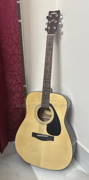 ইয়ামাহা এফ-৩১০ অ্যাকোস্টিক গিটার