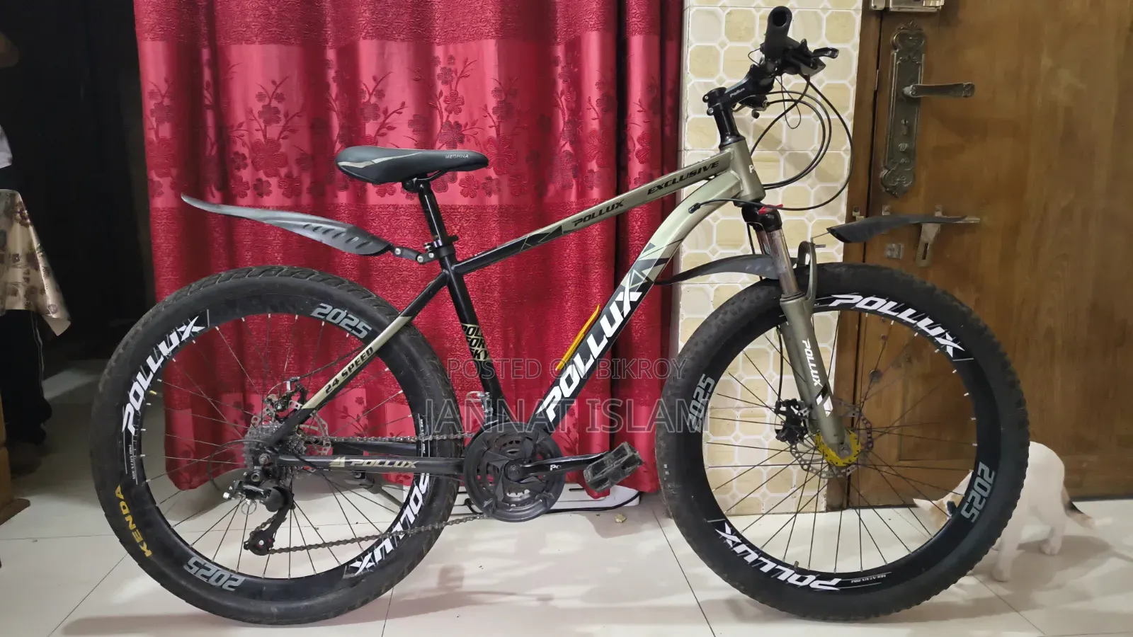 Fresh Condition Cycle for Sale