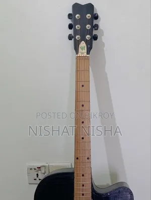 অ্যাকোস্টিক গিটার