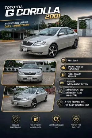 DR DR5 2007 Pearl