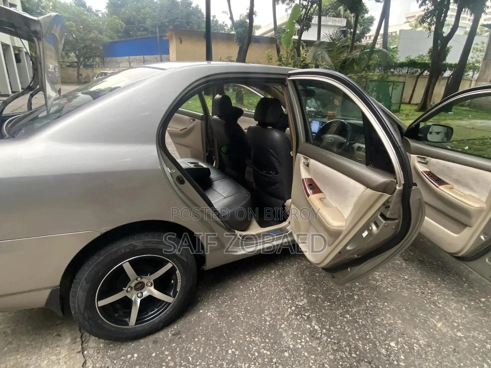 DR DR5 2007 Pearl