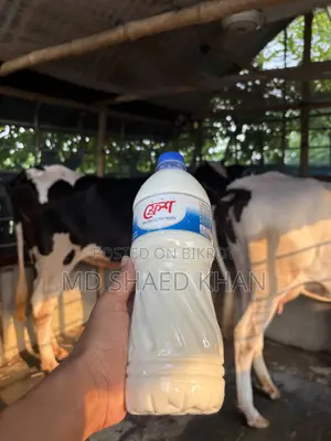 100% Cow Milk