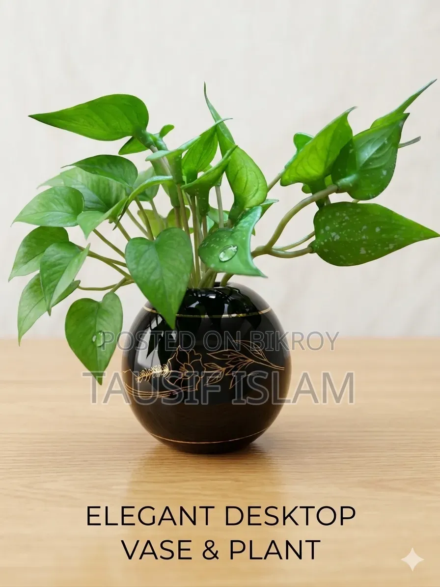 Ceramic Vase With Plant
