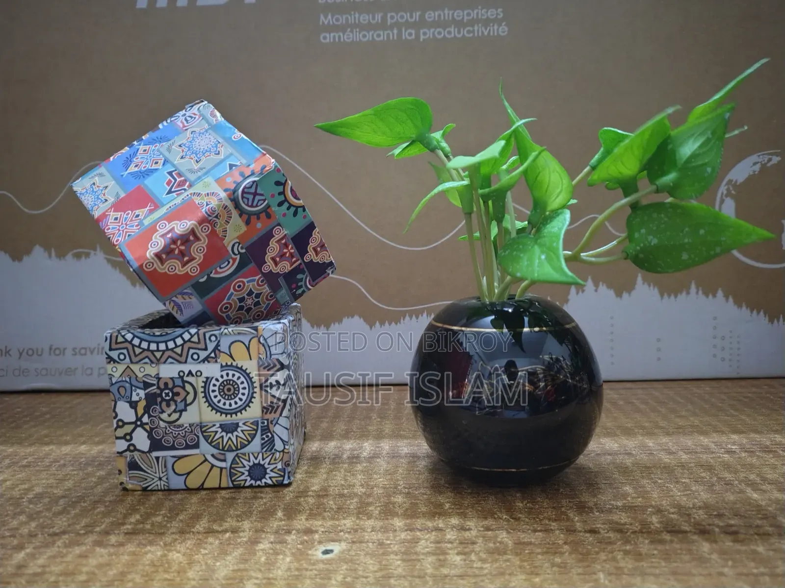 Ceramic Vase With Plant