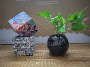 Ceramic Vase With Plant