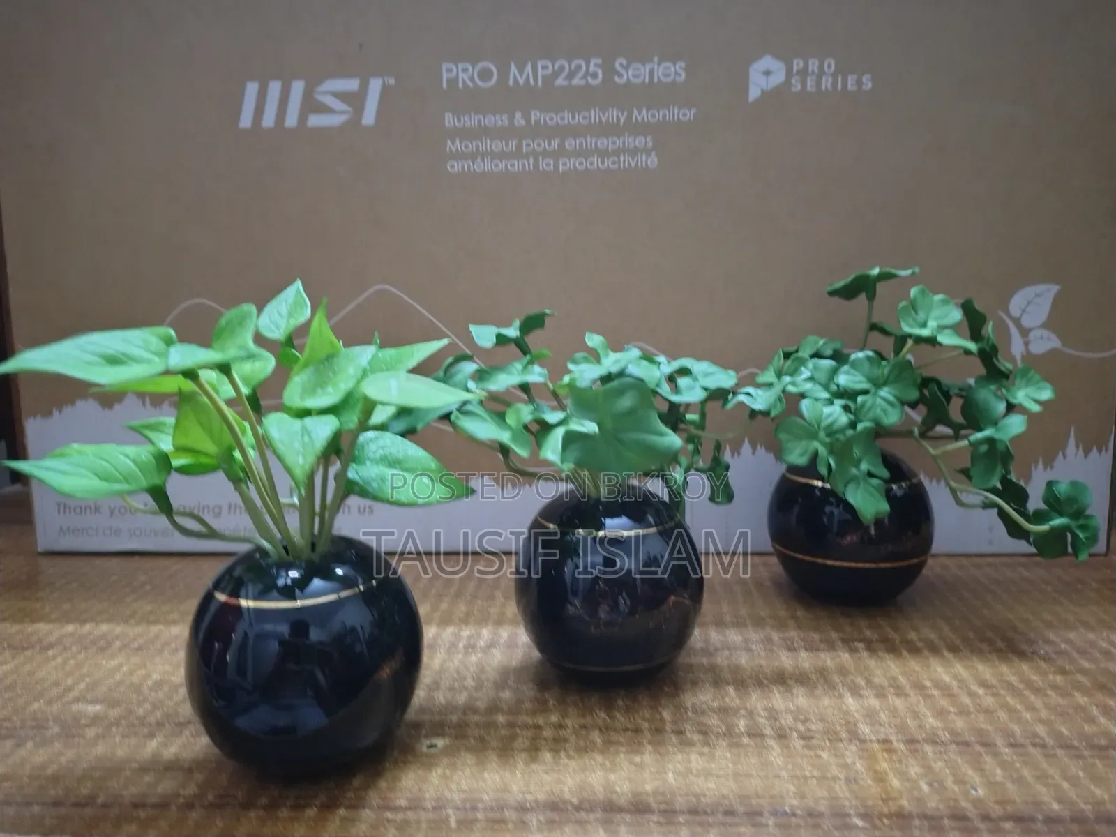 Ceramic Vase With Plant