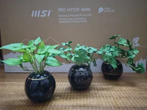 Ceramic Vase With Plant