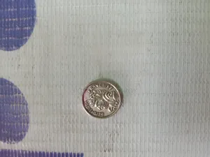 France Ar 1880 সালের জুয়েলারি