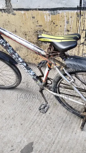 অরজিনিয়াল Core সাইকেল