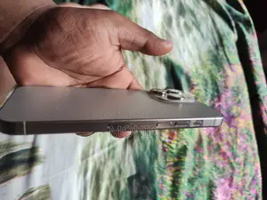 Apple iPhone 15 Pro Max 256 GB Silver