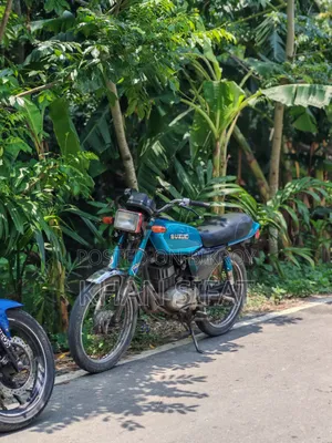 Suzuki 1999 Blue