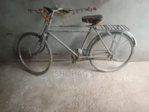 সাইকেলটি খুব ভালো তাই