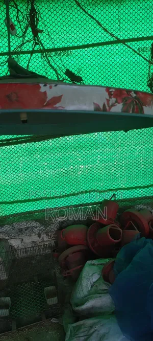 ১টি মুরগির সেট বিক্রি করা হবে