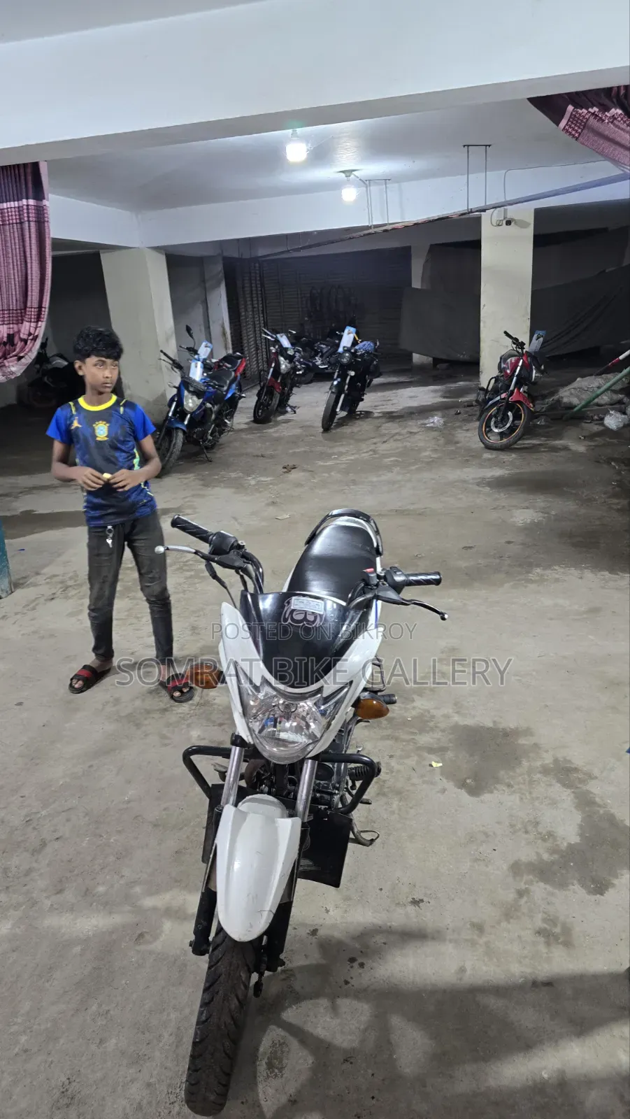 Suzuki Hayate 2017 White