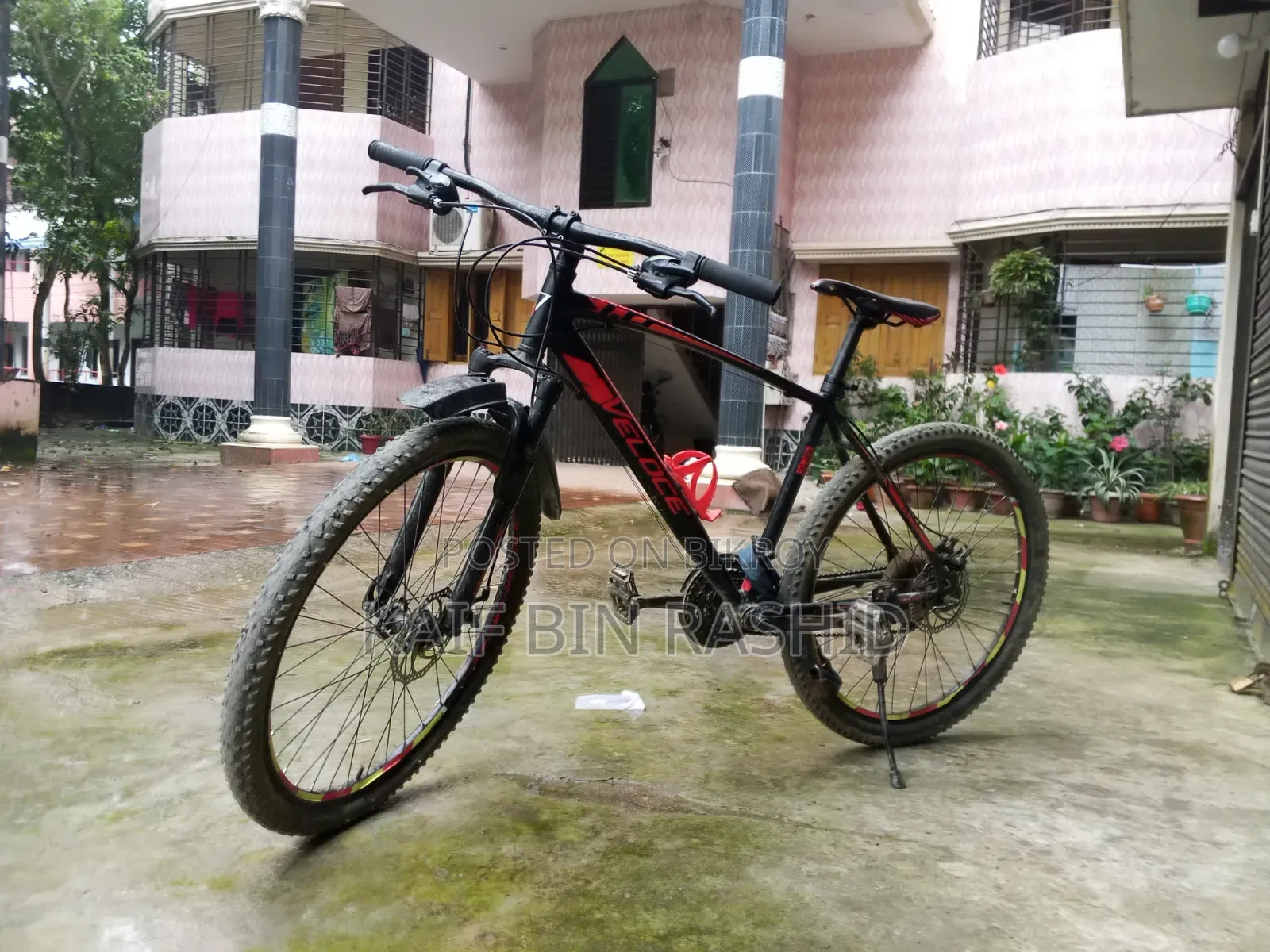 Gear Cycle Veloce