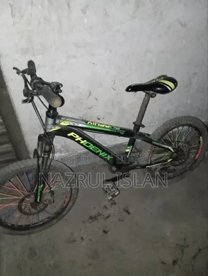 Adult Cycle