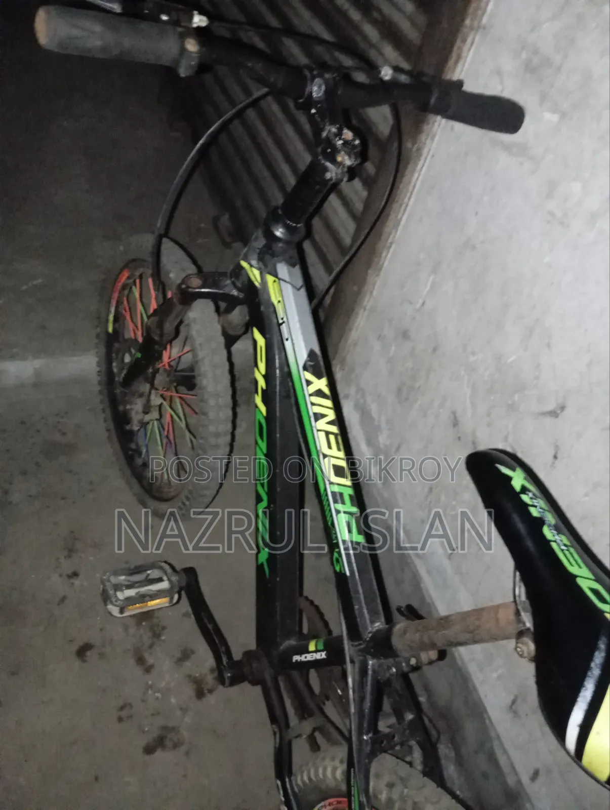 Adult Cycle
