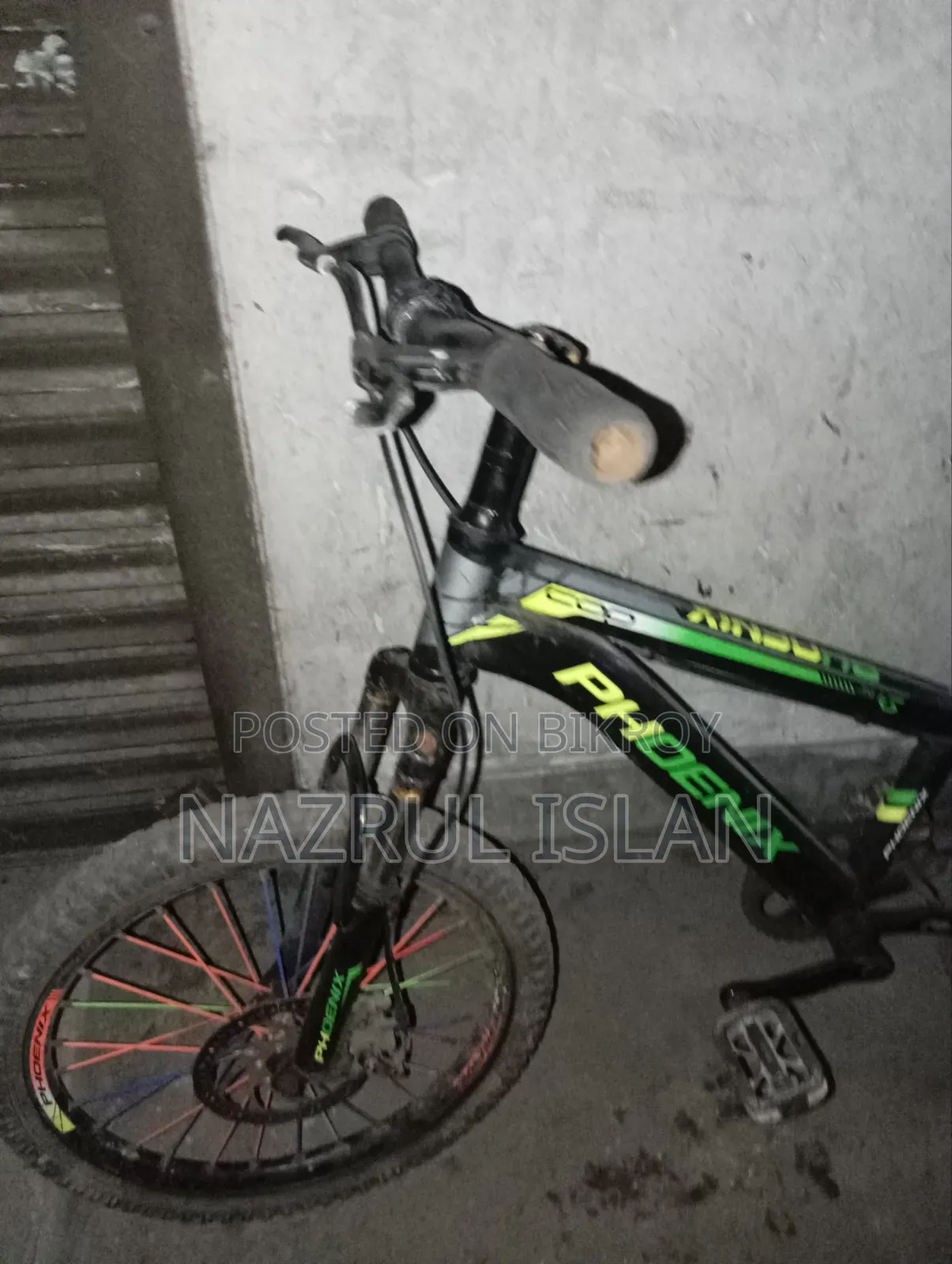 Adult Cycle