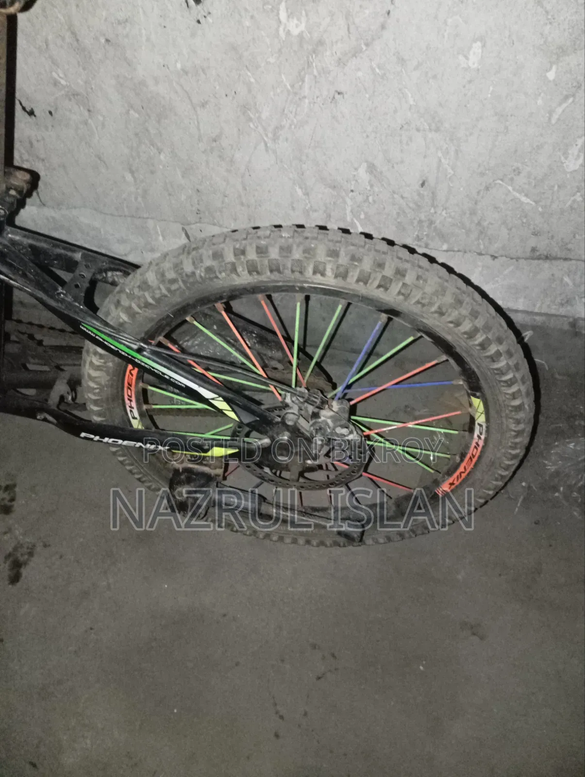 Adult Cycle