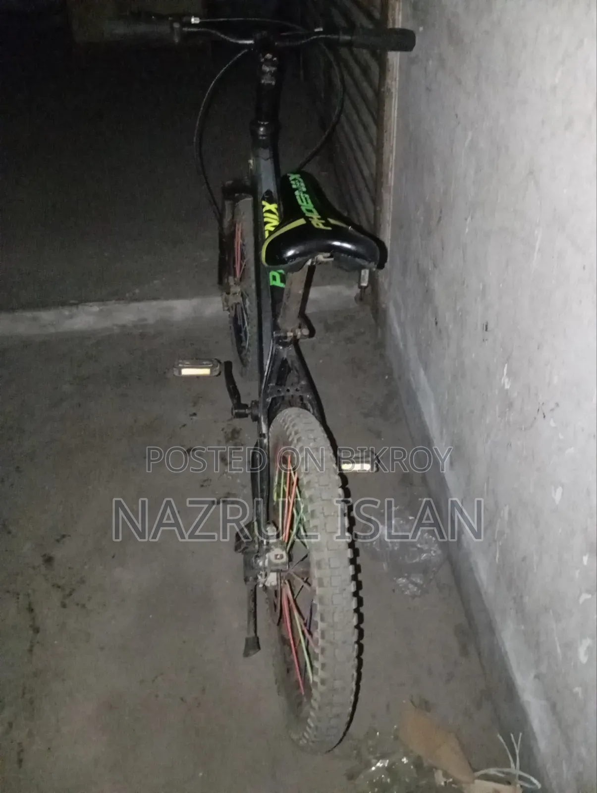 Adult Cycle