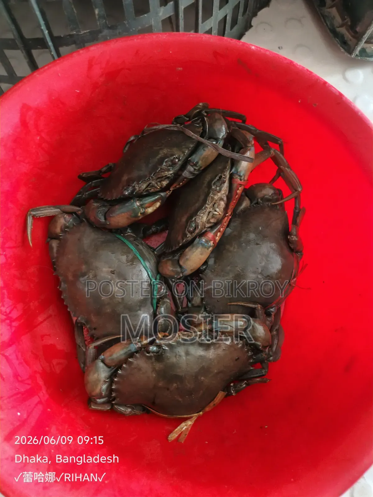 Crab Sale