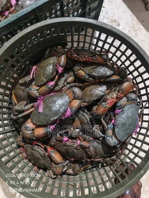Crab Sale