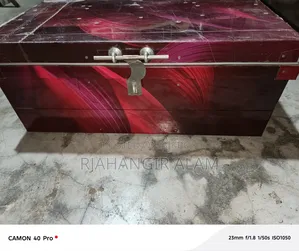 Trunk or Box