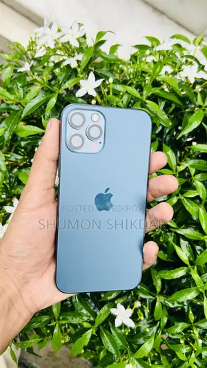Apple iPhone 12 Pro 256 GB Blue
