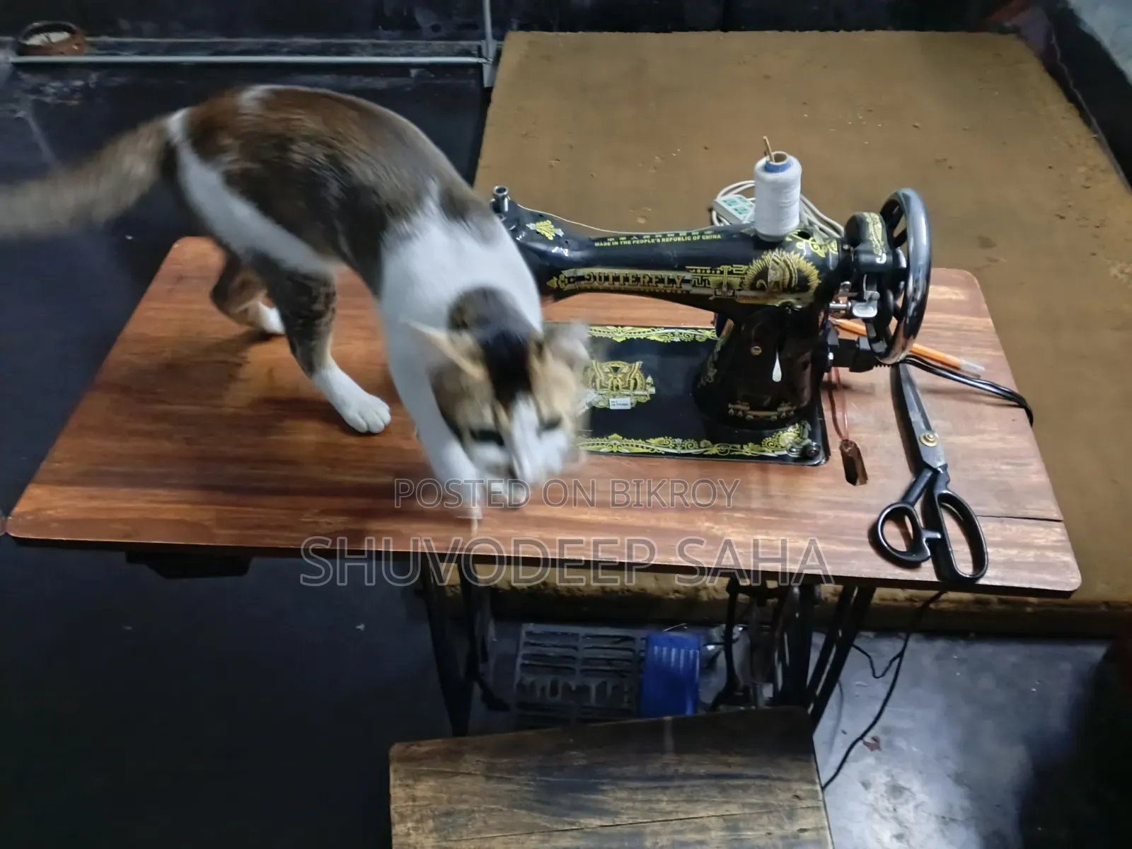 Sewing Machine