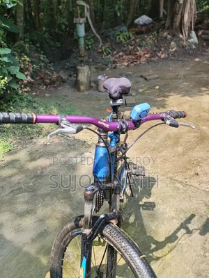 Non Gear Bicycle