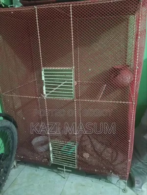 Bird Cage